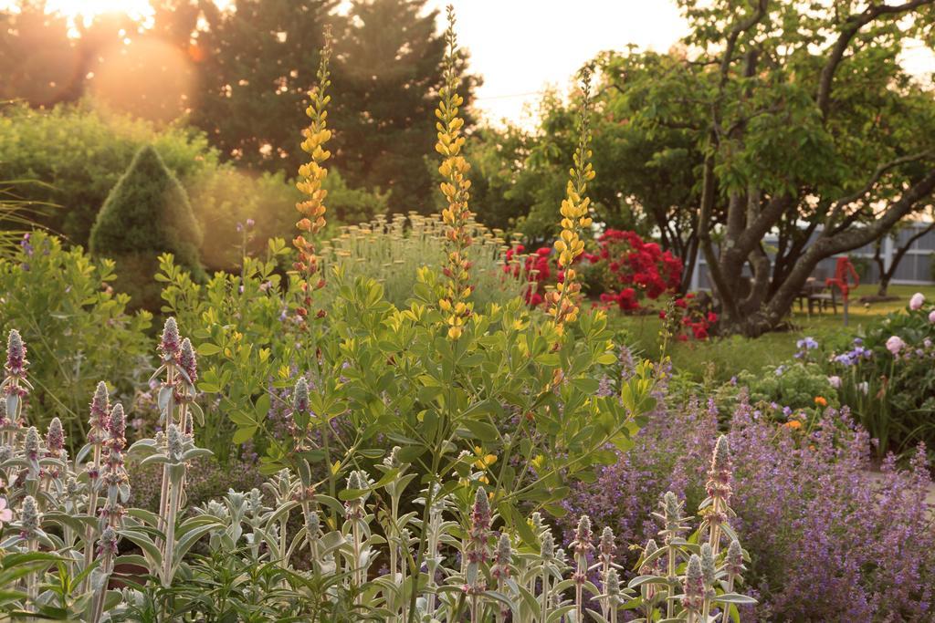 L'Auberge Provencale Inn & Restaurant Boyce ภายนอก รูปภาพ